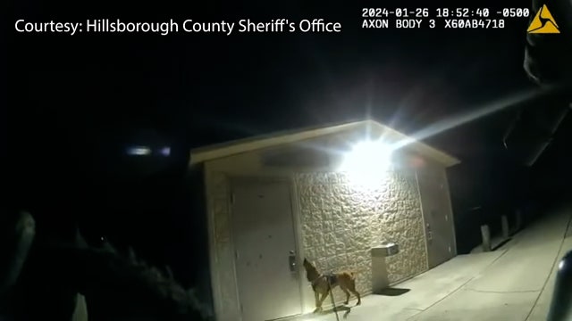 VIDEO: Missing 11-year-old girl found in park bathroom by HCSO K9