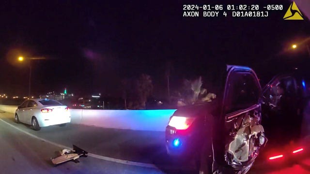 Woman arrested after hitting St. Petersburg police car, fleeing scene: Officials