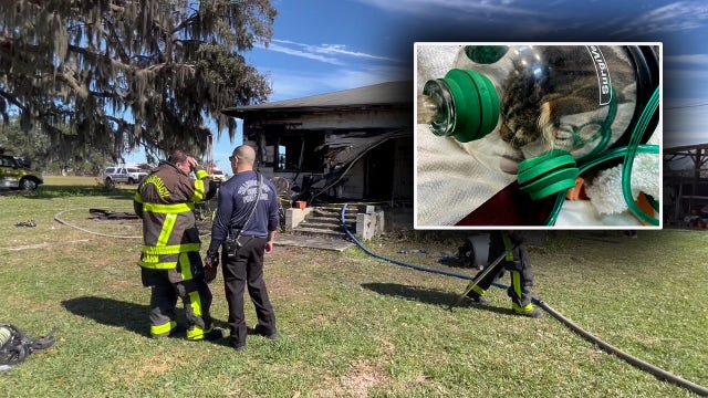 PHOTOS: Dogs, cats and guinea pig rescued in Plant City house fire