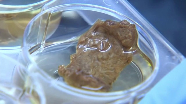 Lab-grown meat ban bill moving through Florida legislature