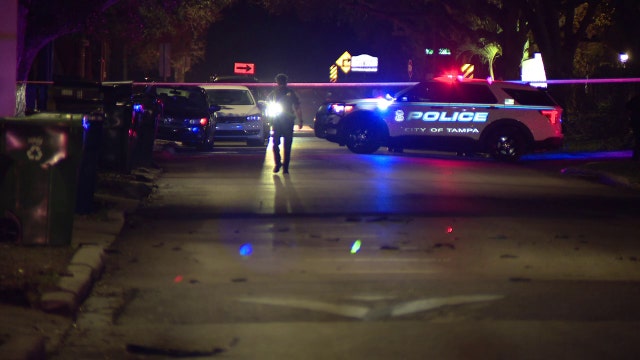 2 hospitalized after shooting, crash in Tampa: Investigators