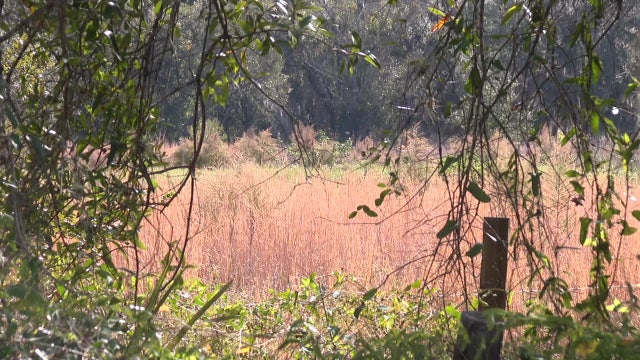 'Take pause, this is cowboy country:' Sarasota residents fight proposed rezone