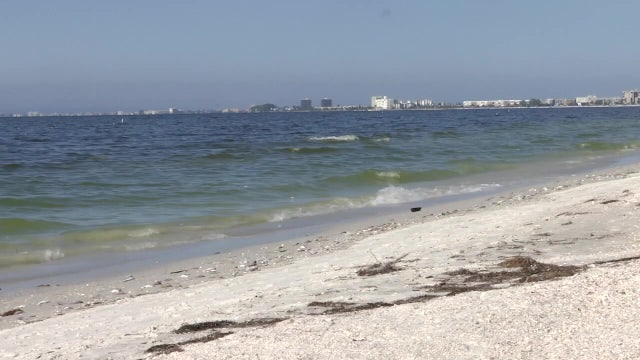 DeSantis funds $10M to combat harmful algae blooms like red tide