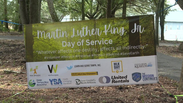 Volunteers in Tampa pick up trash and yard waste in honor of MLK's National Day of Service