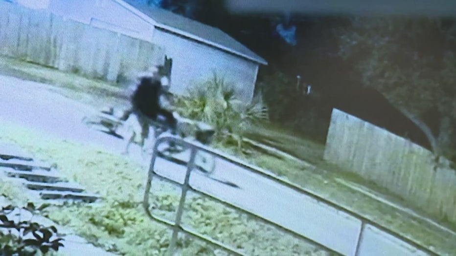 Video shows suspects transporting Tully's body on a bike. Image is courtesy of the Pinellas County Sheriff's Office. 