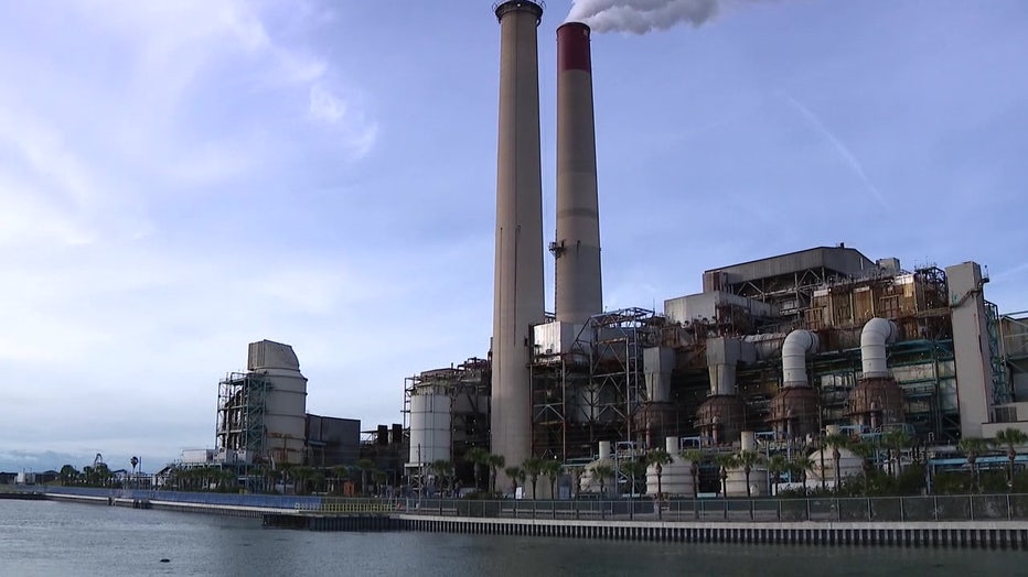 TECO Power Plant draws manatees to its warm waters as the temperatures drop. 