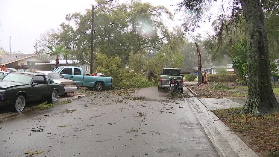 Tuesday's storms knocked down trees and spread debris. 