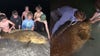 Riverview High School students catch goliath grouper from Turtle Beach