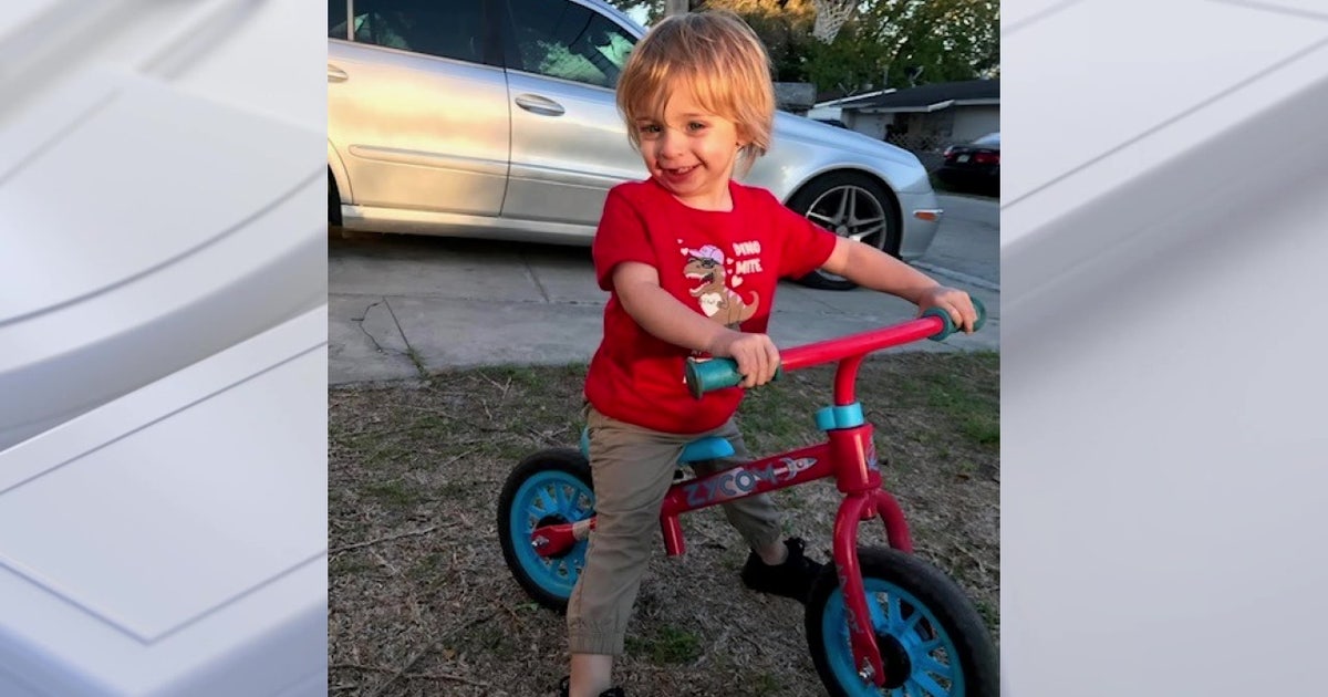 2-year-old Pasco County boy's skull fractured after dog attack | FOX 13 ...