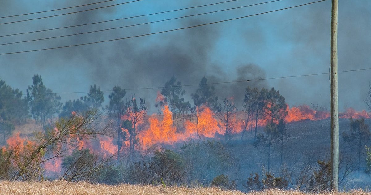 Burn ban issued for multiple cities in Polk County due to dry ...