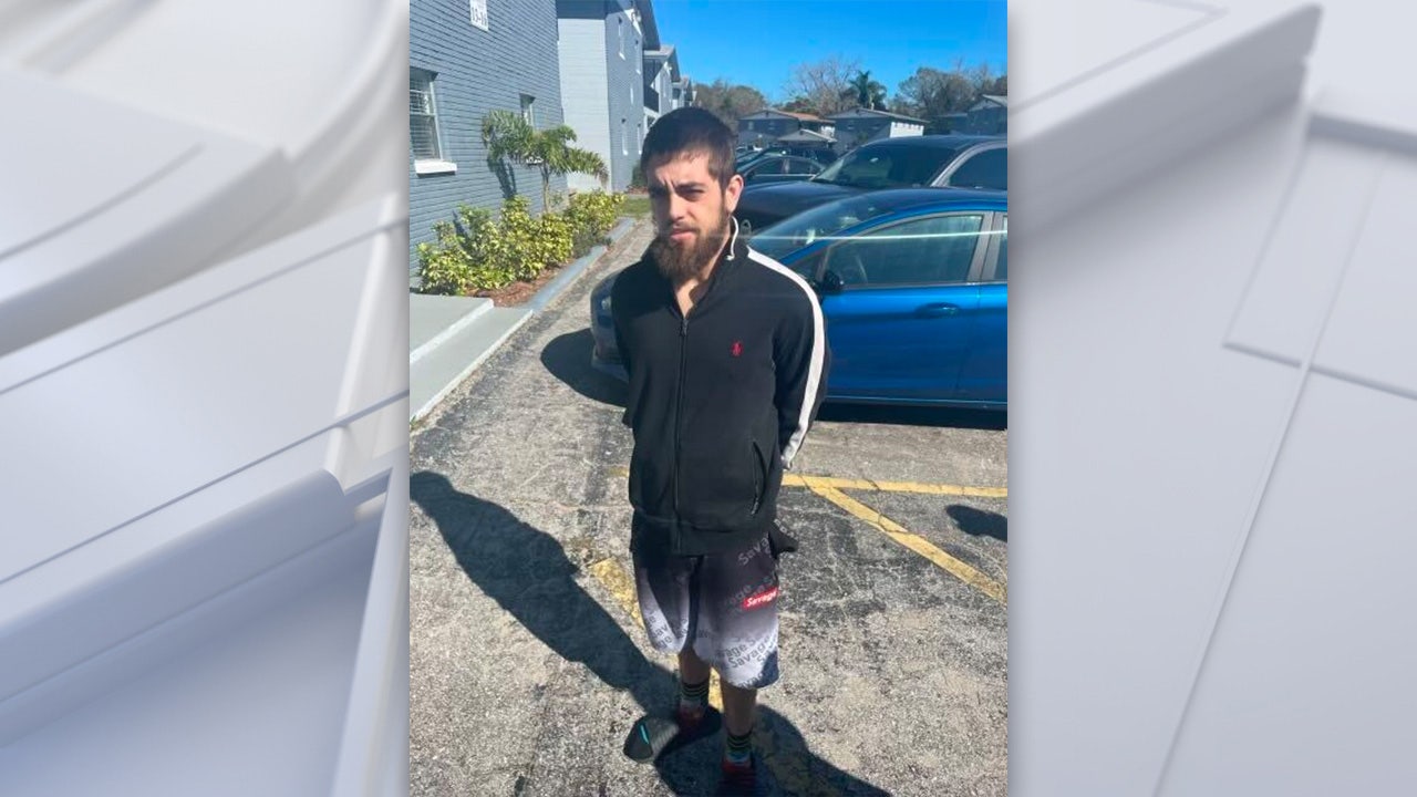 Riverview road rage shooting: Florida man charged in death of father of 5 - Vimarsana News