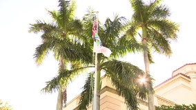 Black History month flag raised at St. Pete City Hall as state talks flag restrictions on government buildings