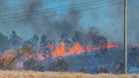 PHOTOS: Polk County fire burns 80 acres of grass and wooded area, PCFR says