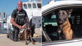 Pinellas deputy’s bond with retired K-9 forever changed after ambush: ‘This dog saved my life’