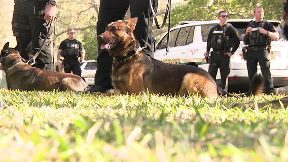 K-9 unit dogs honored by Tampa Bay officers at memorial service