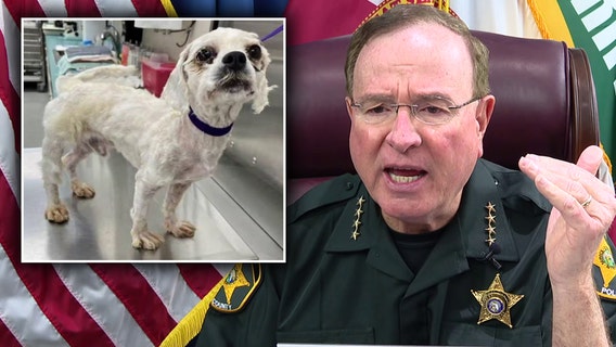 Investigators search for 2 women who abandoned dog in Lakeland neighborhood: Grady Judd