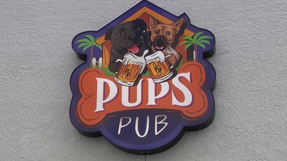Popular Tampa dog bar Pups Pub closing, owners cite changes to state regulation enforcement