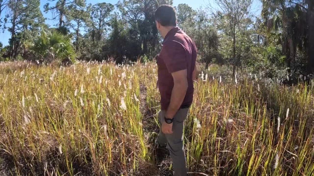 City of North Port working to preserve land and protect Florida ecosystems with new team
