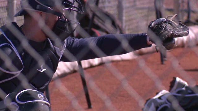 Spring training in full swing across Florida