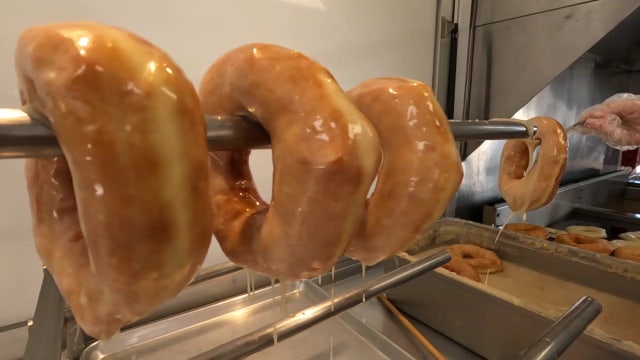 Sarasota man becomes Florida State Fair favorite serving Amish donuts and pretzels