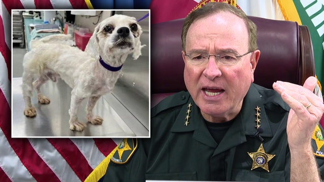 Investigators search for 2 women who abandoned dog in Lakeland neighborhood: Grady Judd