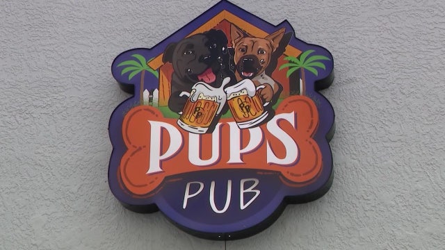 Popular Tampa dog bar Pups Pub closing, owners cite changes to state regulation enforcement