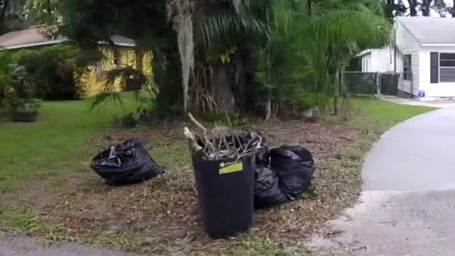 Here’s what to know about Tampa’s new yard waste collection rules