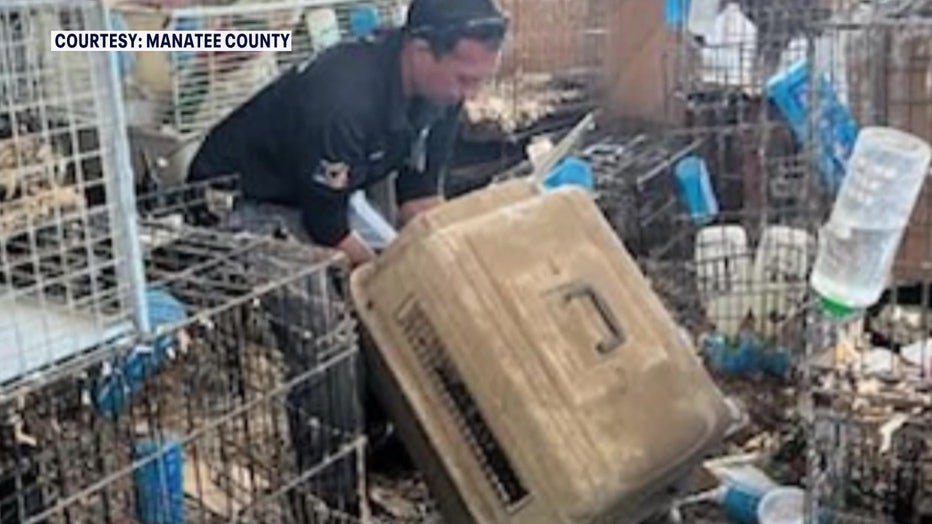 Nearly 70 rabbits were rescued from a hoarding situation.