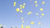 DeSantis signs bill banning intentional releases of balloons in Florida