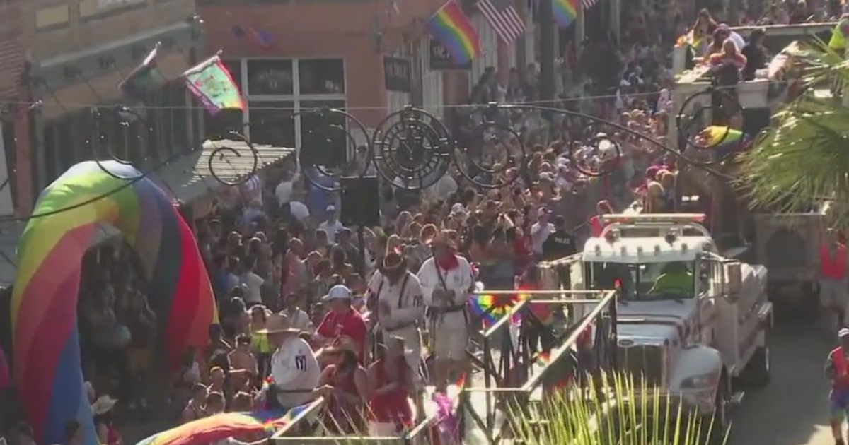 This Weekend: 10th Annual Tampa Pride Parade and Festival | FOX 13 ...