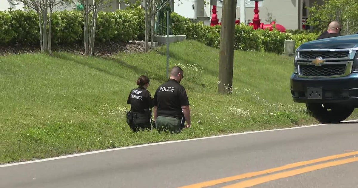 St. Petersburg man found lying in Pinellas Park ditch after deadly hit ...
