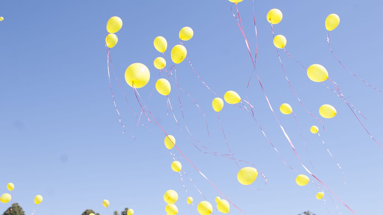 DeSantis Signs Bill Banning Intentional Releases Of Balloons In Florida ...