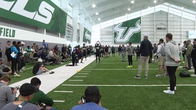 USF football hosts annual pro-day, scouts from NFL teams come to Tampa