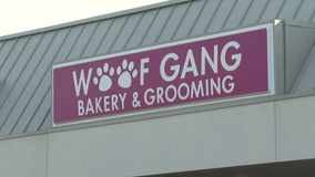 Dozens more dog owners file complaints against shuttered Sarasota grooming business