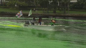 St. Patrick’s Day: Tampa to dye river green for annual celebration
