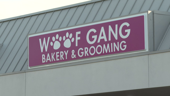 Dozens more dog owners file complaints against shuttered Sarasota grooming business