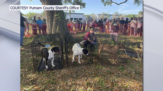 Tampa rescue worries about dogs rescued from hoarding situation after free adoption giveaway