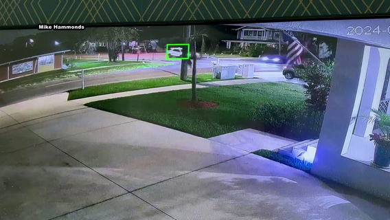 Tampa police officer seen driving off from crash, internal investigation underway