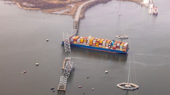 Baltimore bridge collapse will likely cause product shortages, supply chain manager warns