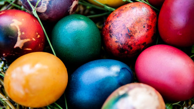 Is Publix open on Easter 2024? Here’s what’s open and closed on Sunday