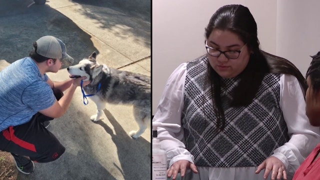 Hillsborough woman makes open plea for beating husky with rubber mallet