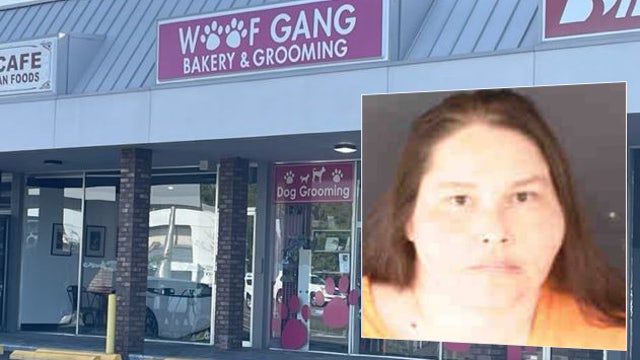 Sarasota dog groomer arrested for animal abuse and cruelty