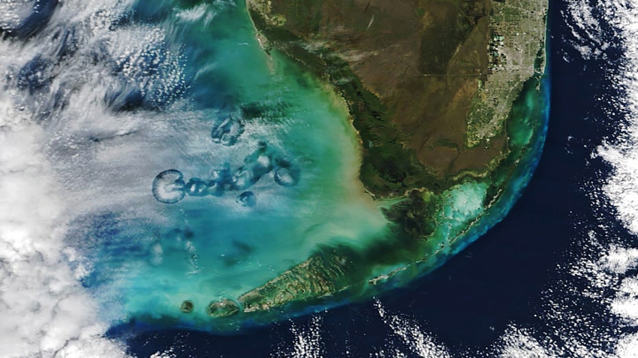NASA-1.jpg