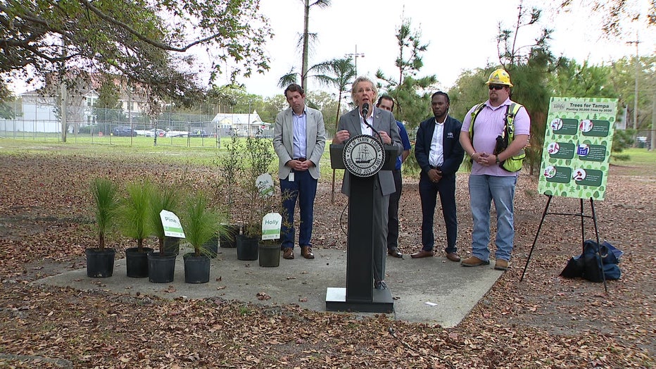 Mayor Castor said Tampa used to have one of the best tree canopies in the world.