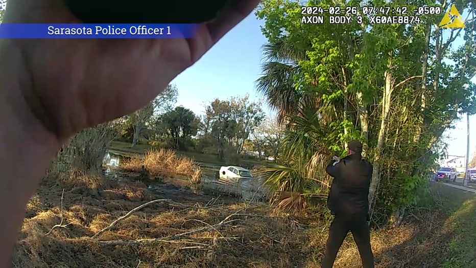 In bodycam video, police can be heard ordering the suspect out of the car, which crashed into a pond. Image is courtesy of the Sarasota Police Department.
