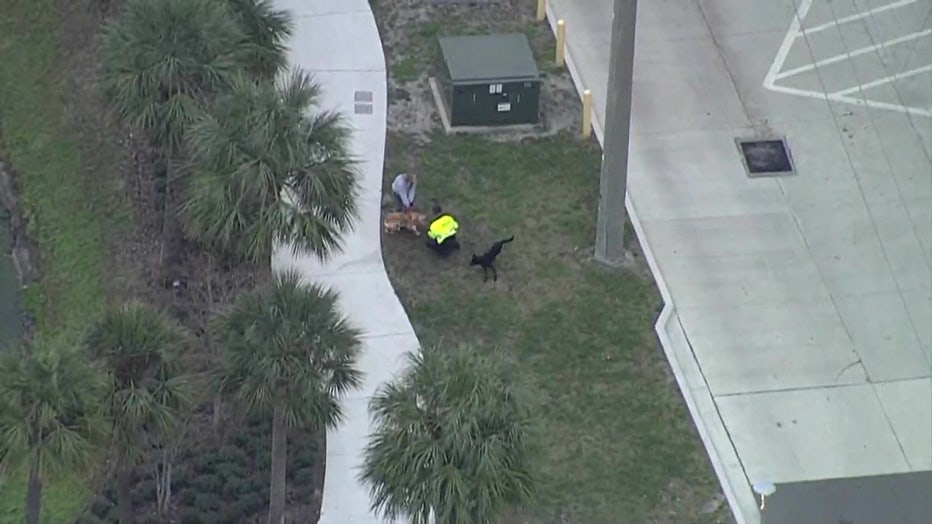 Officers tried to capture the dog last seen wandering near Tampa's Midtown, but it remained just out of their grasp. 