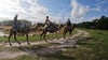 Safari Wilderness Ranch is piece of old Florida that offers unique adventures