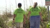'Preserve the animals': Volunteer Bird Stewards help educate beach goers