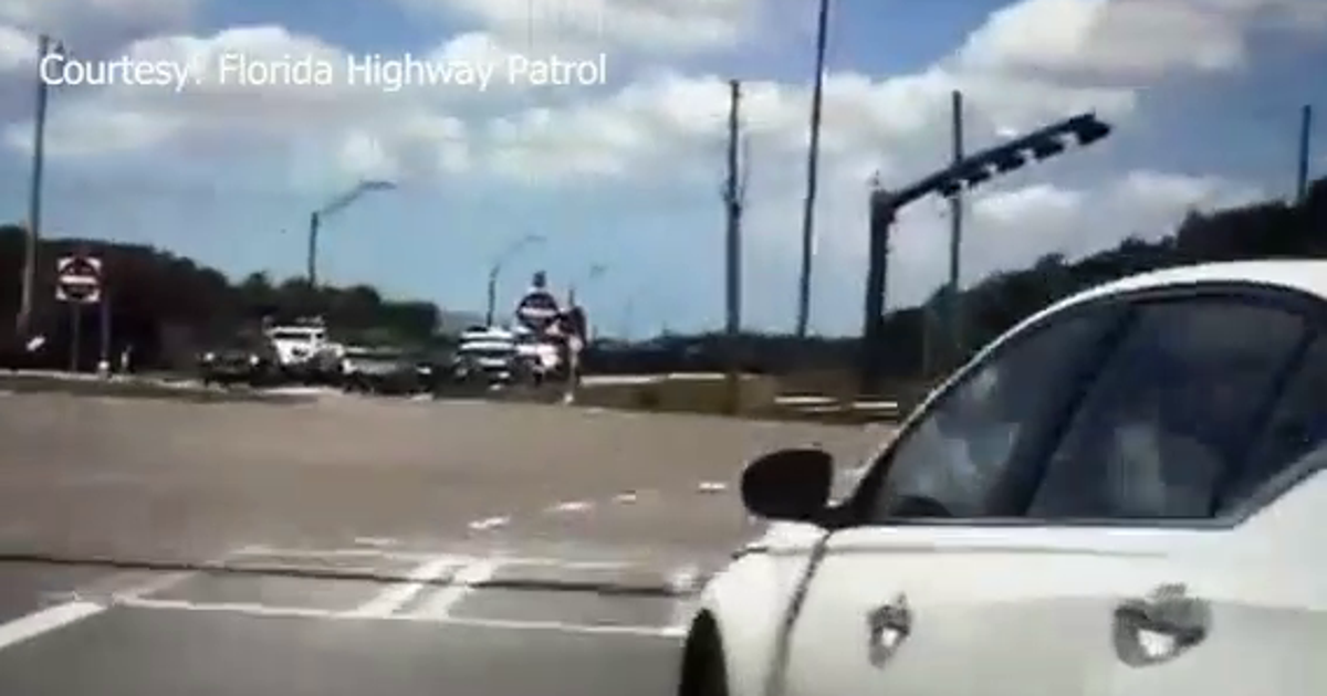 High-speed pursuit ends with violent struggle, arrest in Pasco County ...