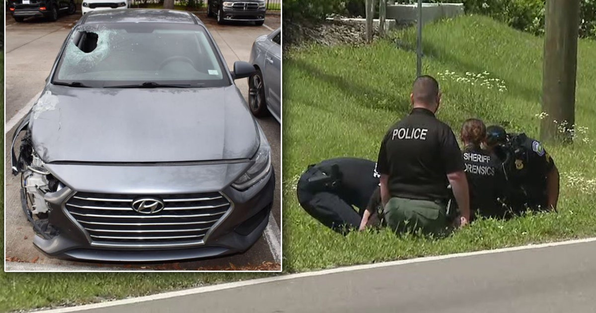 Car in deadly Pinellas Park hit-and-run found, search underway for ...